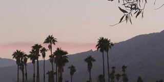 2600 S Palm Canyon Dr Gallery 20