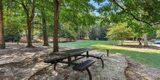 Canopy Glen Gallery 44