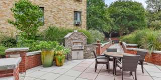 The Saratoga Gallery 29