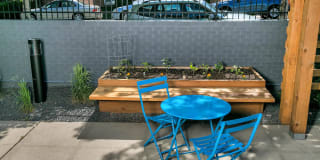 833 Dexter Gallery 7