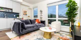 Alexan Main Street Gallery 42