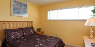 Belcrest Plaza Gallery 1