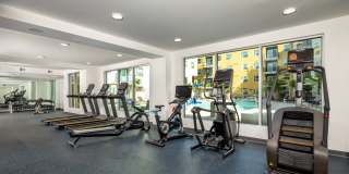 Aston at Gateway Gallery 21