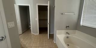 Single-level 3-bedroom home in a desirable Chandler location featuring a 2-car garage and tile roof and wood plank flooring throughout Gallery 26