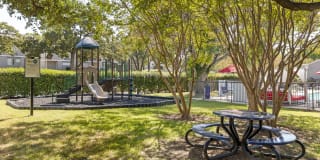 Valley Oaks Gallery 17