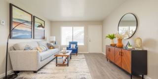 Dorado Heights Gallery 3