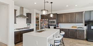 4 Bedroom Single Family Home in Surprise Gallery 5