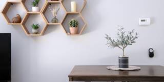 67665 Lagos Way Gallery 19