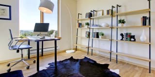 The Chloe Apartments Gallery 25