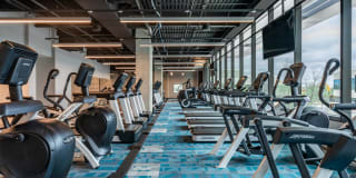 The Village Drey Gallery 64