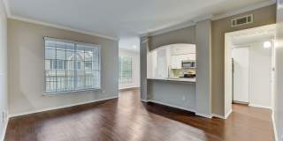 Stone Oak @ Parmer Gallery 37