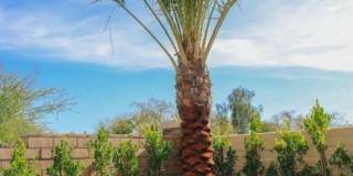 43329 Passagio Lago Way Gallery 28