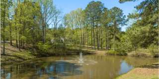 Highland Vista Gallery 3