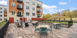 The Aurilla Gallery 56