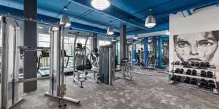 Cadence Music Factory Gallery 20