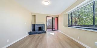 22 Vandewater Gallery 1