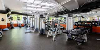 Wheaton 121 Gallery 17