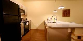 Settlement Place Gallery 321