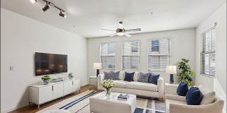 Castile Apartments Gallery 49