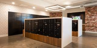 The Common Gallery 7