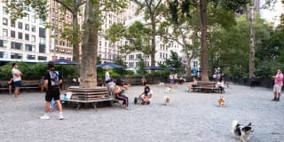 Prism Prism Gallery 37