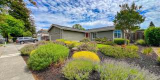 Elegant Browns Valley Four Bedroom Home Elegant Browns Valley Four Bedroom Home Gallery 4
