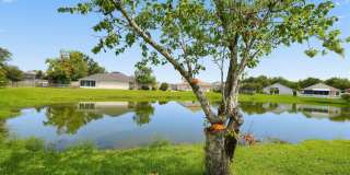 Spacious 4BR House in Orange Park Gallery 7