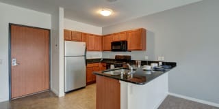 Latitude Latitude Gallery 2