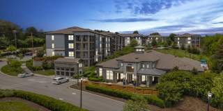 Avery at Turkey Creek Gallery 54