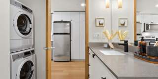 Dorian Gallery 21