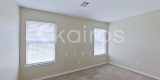 4209 Snowy Owl Drive Gallery 14