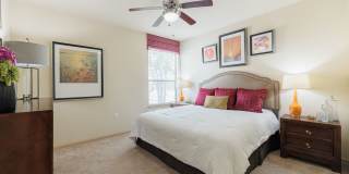 Dolce Living Rosenberg Gallery 22