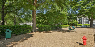 Hyde Park Gallery 23