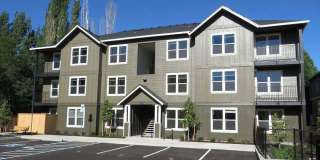 Leaf Apartments Gallery 1