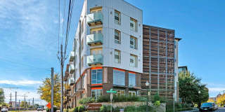 Zang Triangle Gallery 1