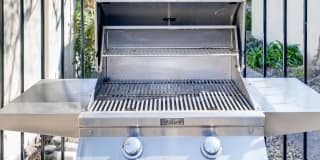 Larkspur Larkspur Gallery 6