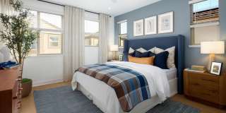 Independence in Dixon Gallery 7