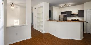 Wesley St. James at Sandy Springs Gallery 22