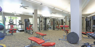 Braeswood Place Gallery 9