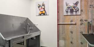 Ion Town Center Gallery 31