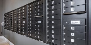 Novo Novo Gallery 26