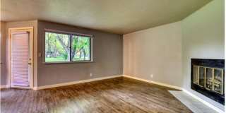 Woodbine Gallery 10