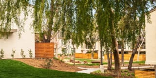 Sharon Green Gallery 52