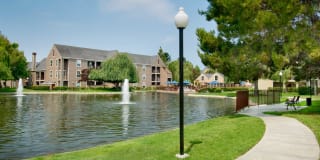 Riva Terra Apartments at Redwood Shores Gallery 67