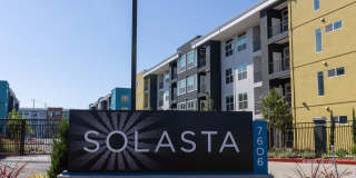 Solasta Solasta Gallery 25