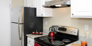 Evelyn Gardens Gallery 1