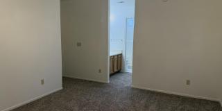 2946 W Ring Tail Drive Gallery 17