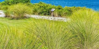 917 TIDEWATER SHORES Loop Gallery 40