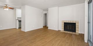 Lantern Cove Gallery 44