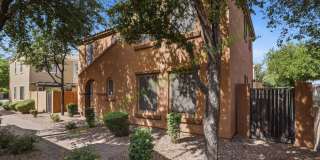 Beautiful Lyons Gate Home – 3 Bedroom + Office in Prime Gilbert Location! Gallery 3